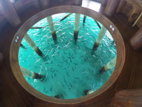 Centara Ras Fushi Maldives